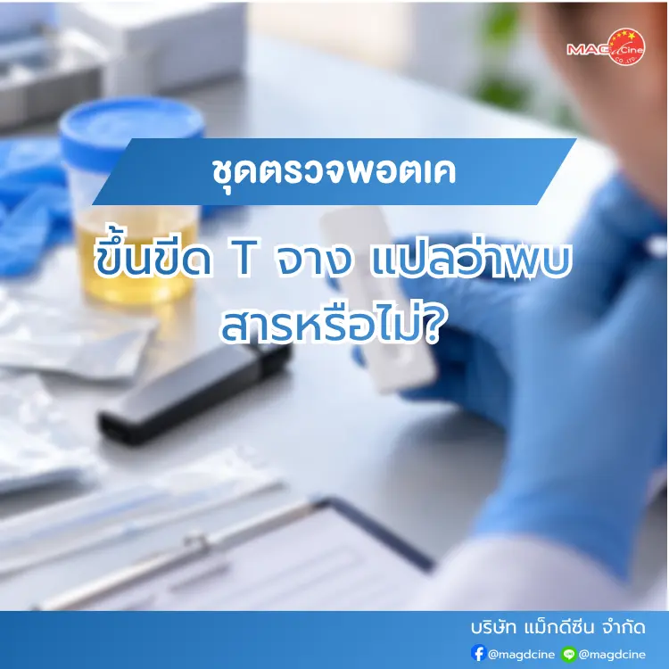 ชุดตรวจพอตเคขึ้นขีด T จาง