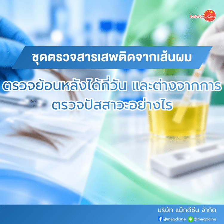 ชุดตรวจสารเสพติดจากเส้นผม