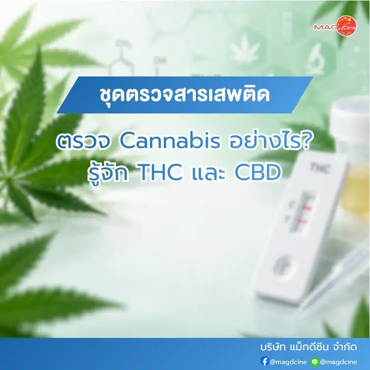ชุดตรวจสารเสพติดตรวจ Cannabis
