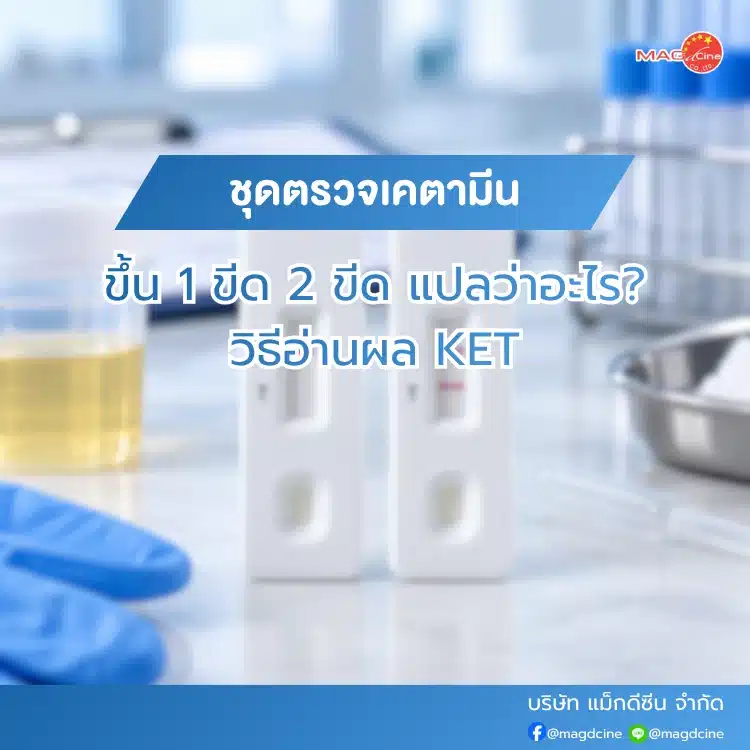 ชุดตรวจเคตามีนขึ้น 1 ขีด 2 ขีด