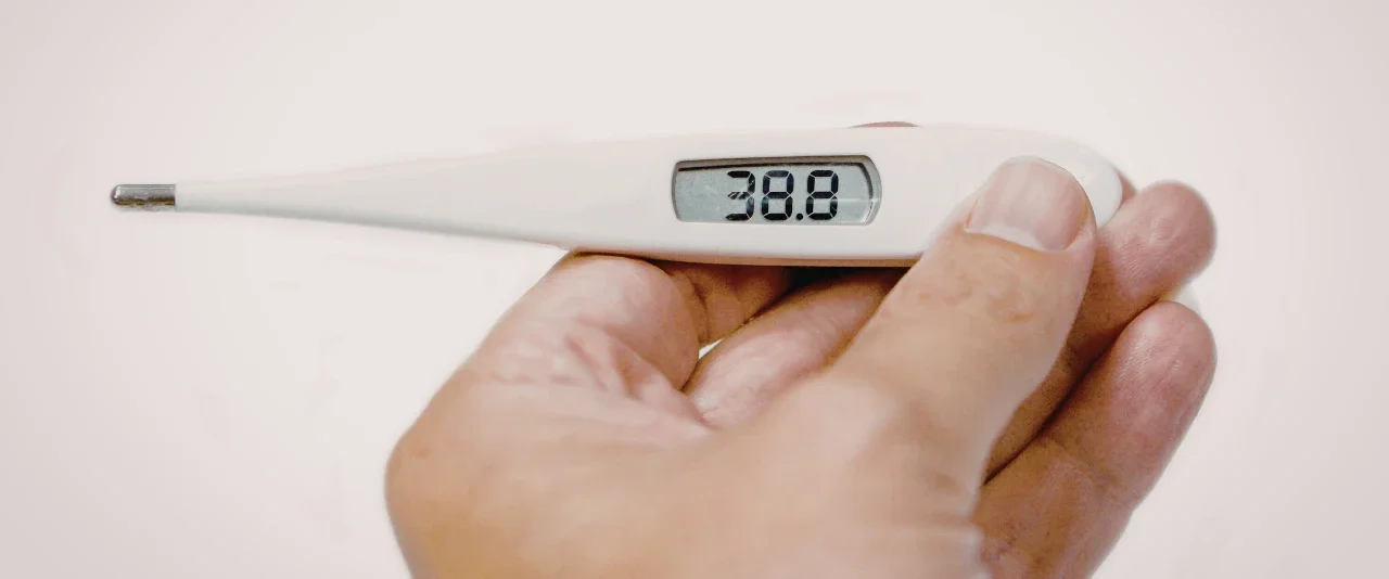 ปรอทวัดไข้