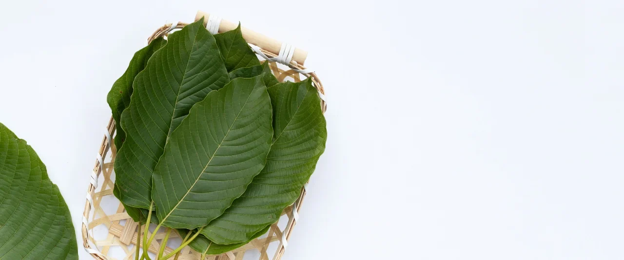 ชุดทดสอบหาสารเสพติดกระท่อม